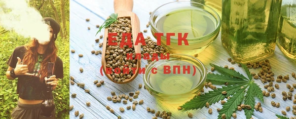 PSILOCYBIN Лагань