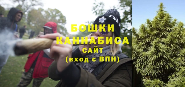 PSILOCYBIN Лагань