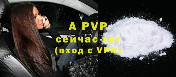 PSILOCYBIN Липки