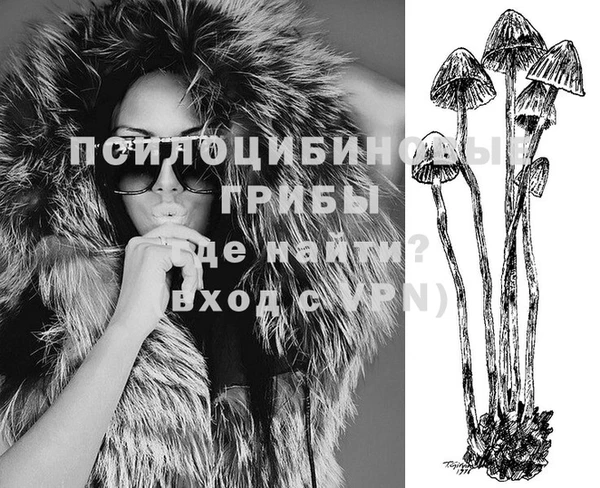 дурь Лиски