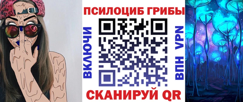 Купить  Кушва  Псилоцибиновые грибы Psilocybe 